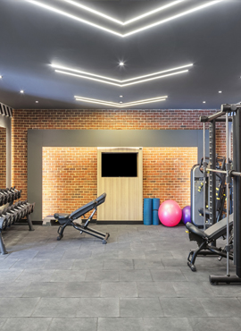 Seagull gym
